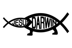 darwin-vs-jesus-helvetica
